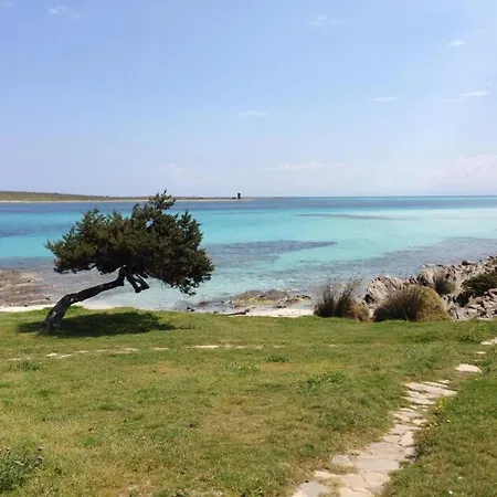 Διαμέρισμα Punta D 'elice 250mt Dal Mare Stintino
