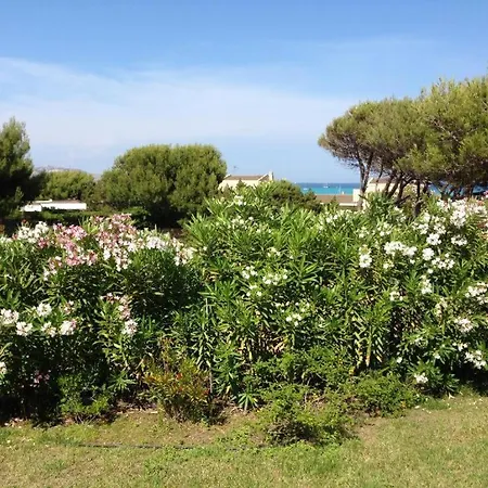 Punta D 'Elice 250Mt Dal Mare * Stintino